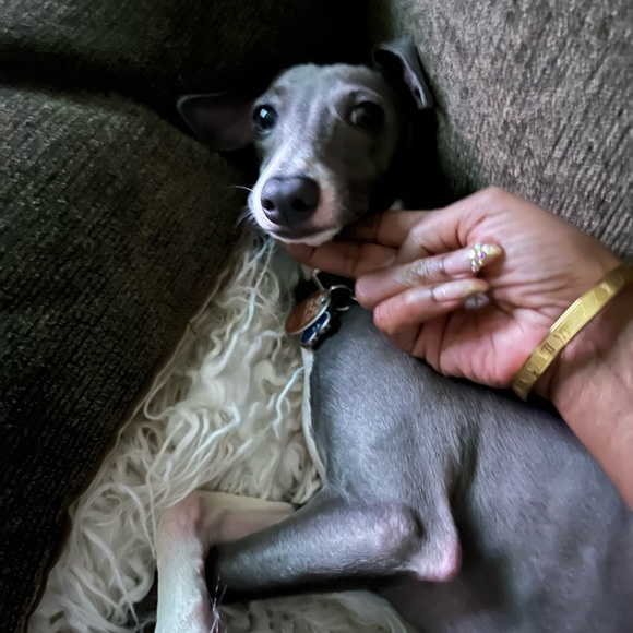 Live Show Notification - Picture 4 of 7